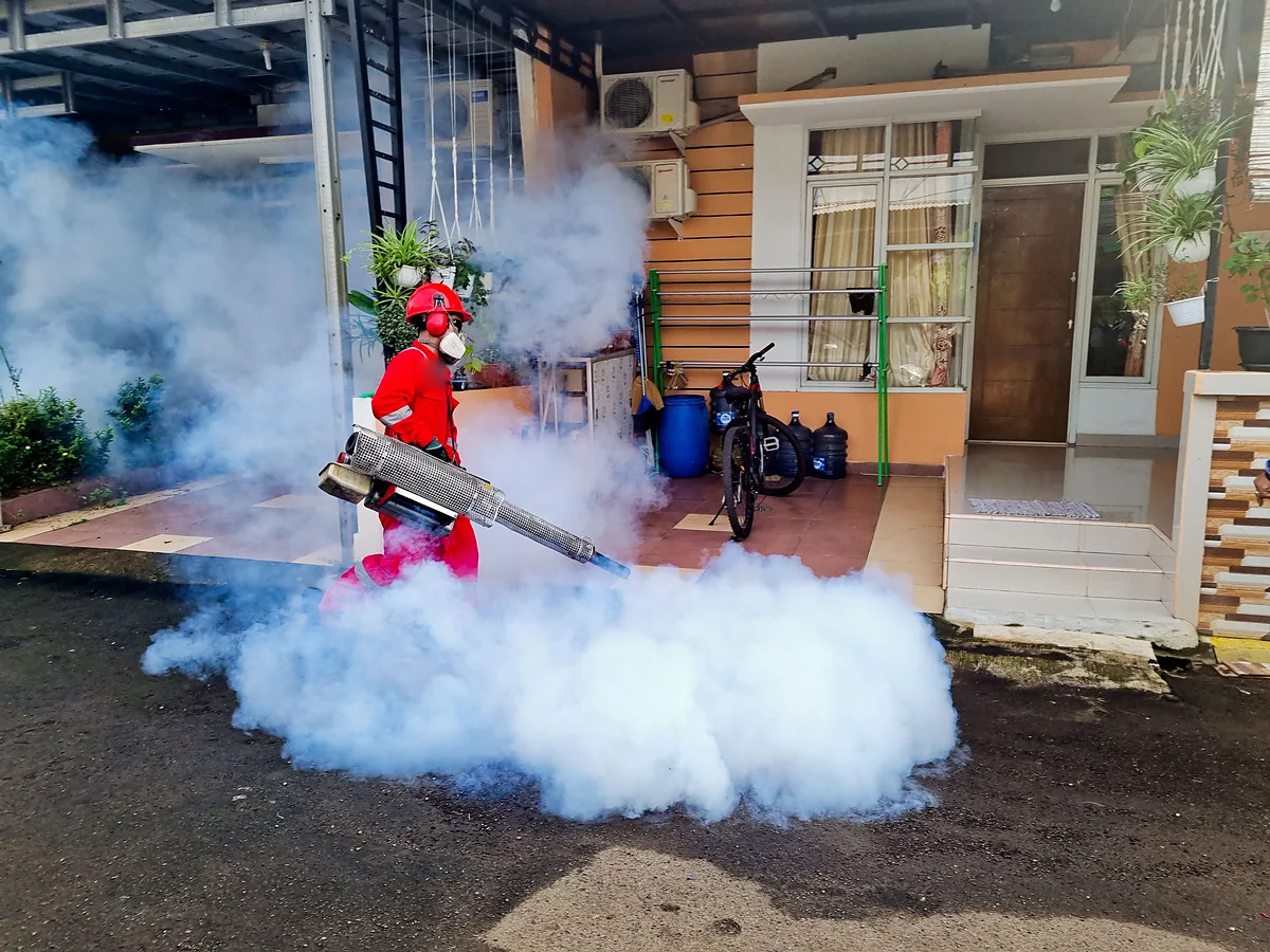 Outdoor Mosquito Fogging