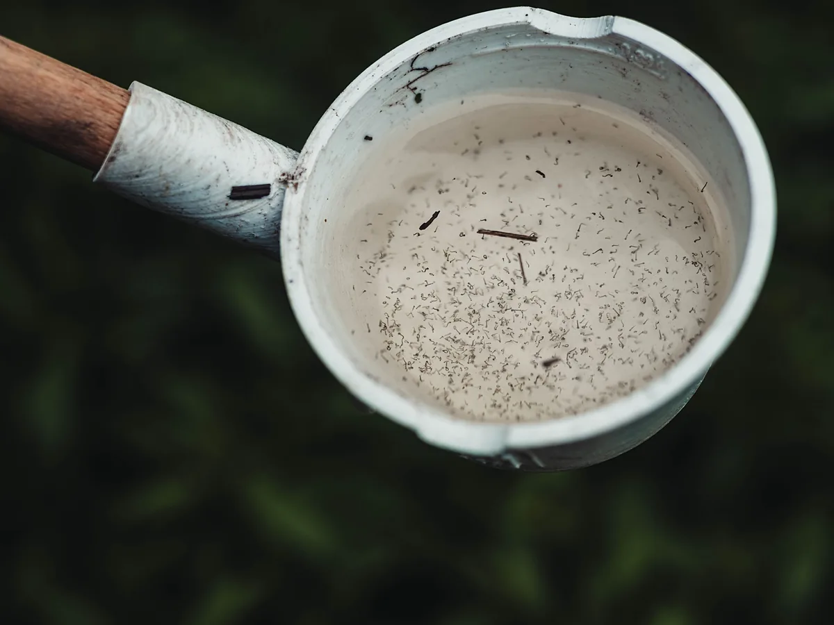 Larvicide Treatment